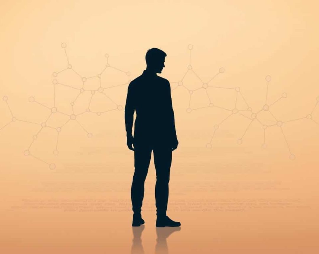 what is the google bert update